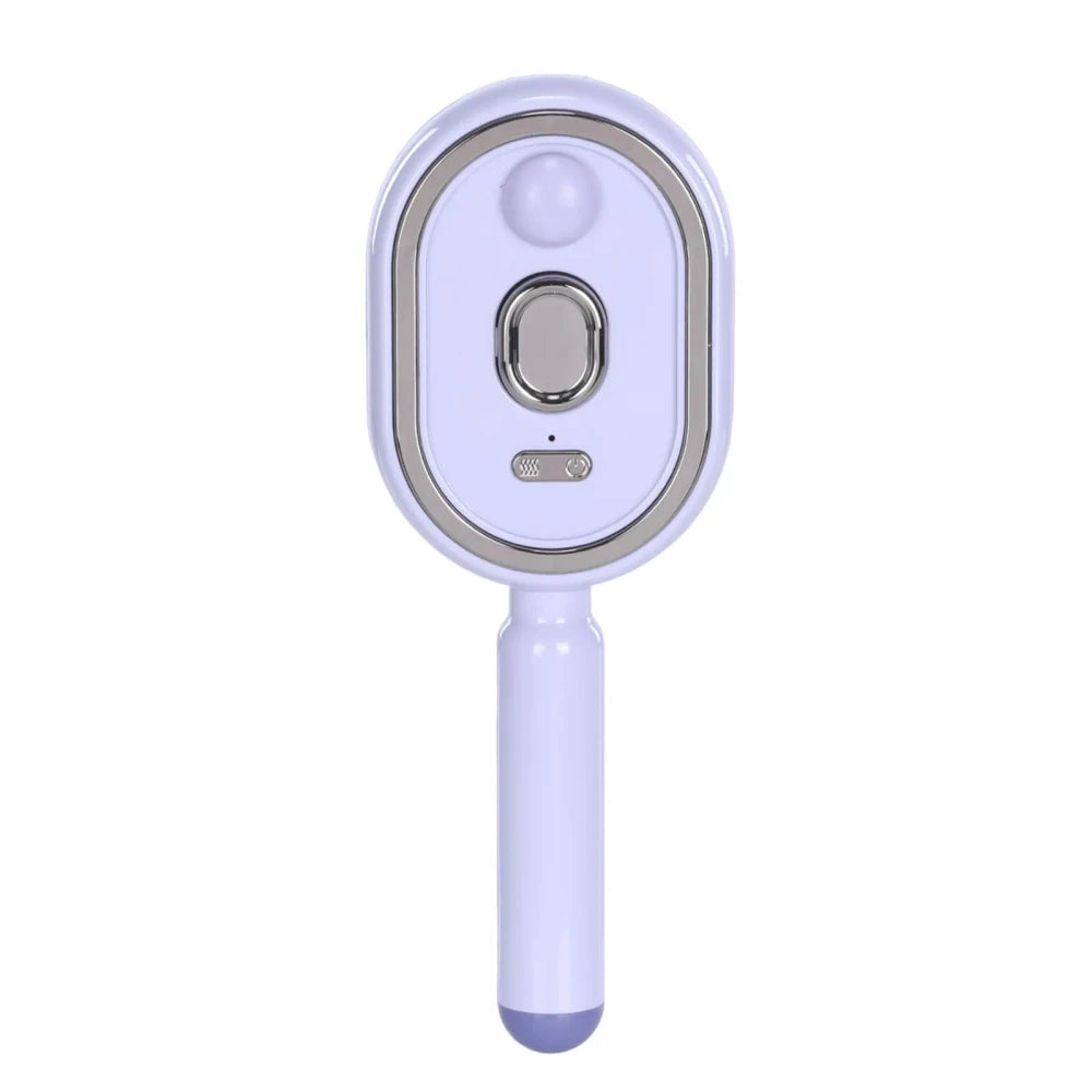 Steam Powered Smoothing Hairbrush